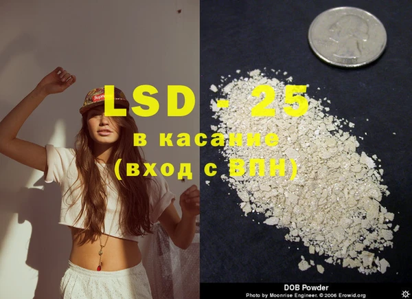 spice Каменка