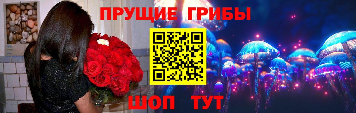 Галлюциногенные грибы мицелий  Вход с VPN  Шахты 