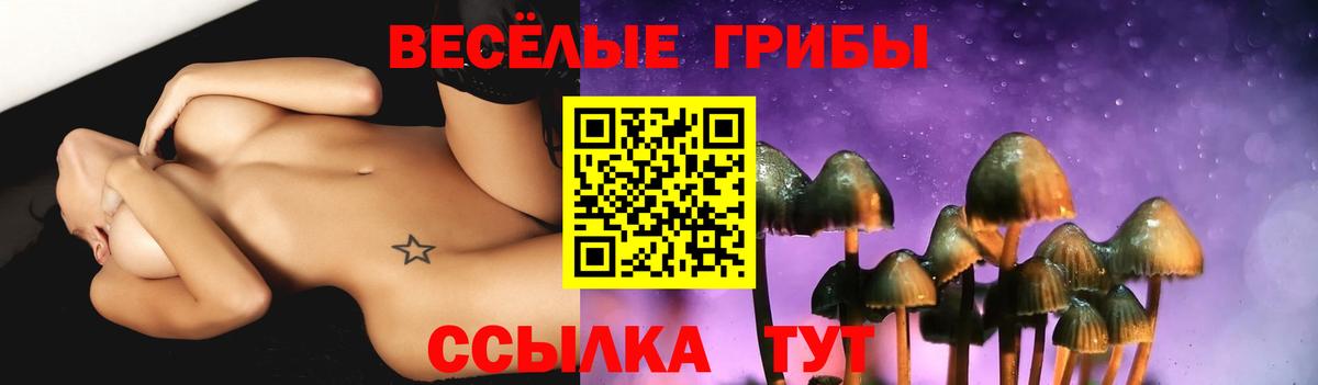 Галлюциногенные грибы мицелий Шахты